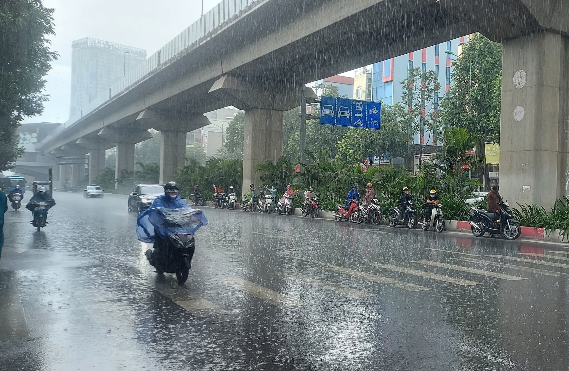 ha-noi-mua-diu-mat.jpg