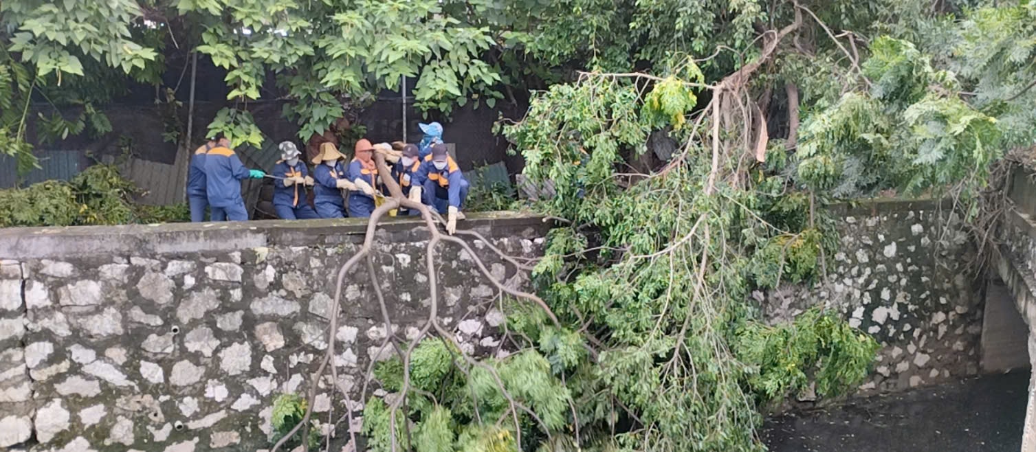 muong-hai-lang.jpeg